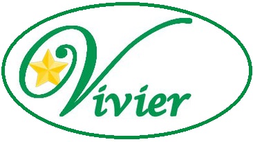 Logo STAV